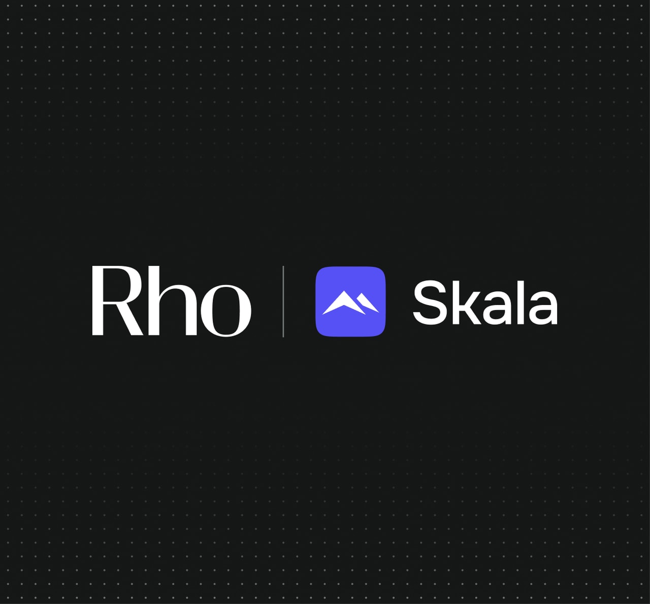 Dark background with "Rho" wordmark, a vertical divider, a blue rounded-square mountain icon, and the "Skala" wordmark.