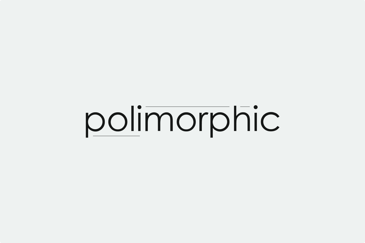 The word "polimorphic" is displayed in lowercase black letters on a light gray background, with subtle underlines beneath "p" and "c".