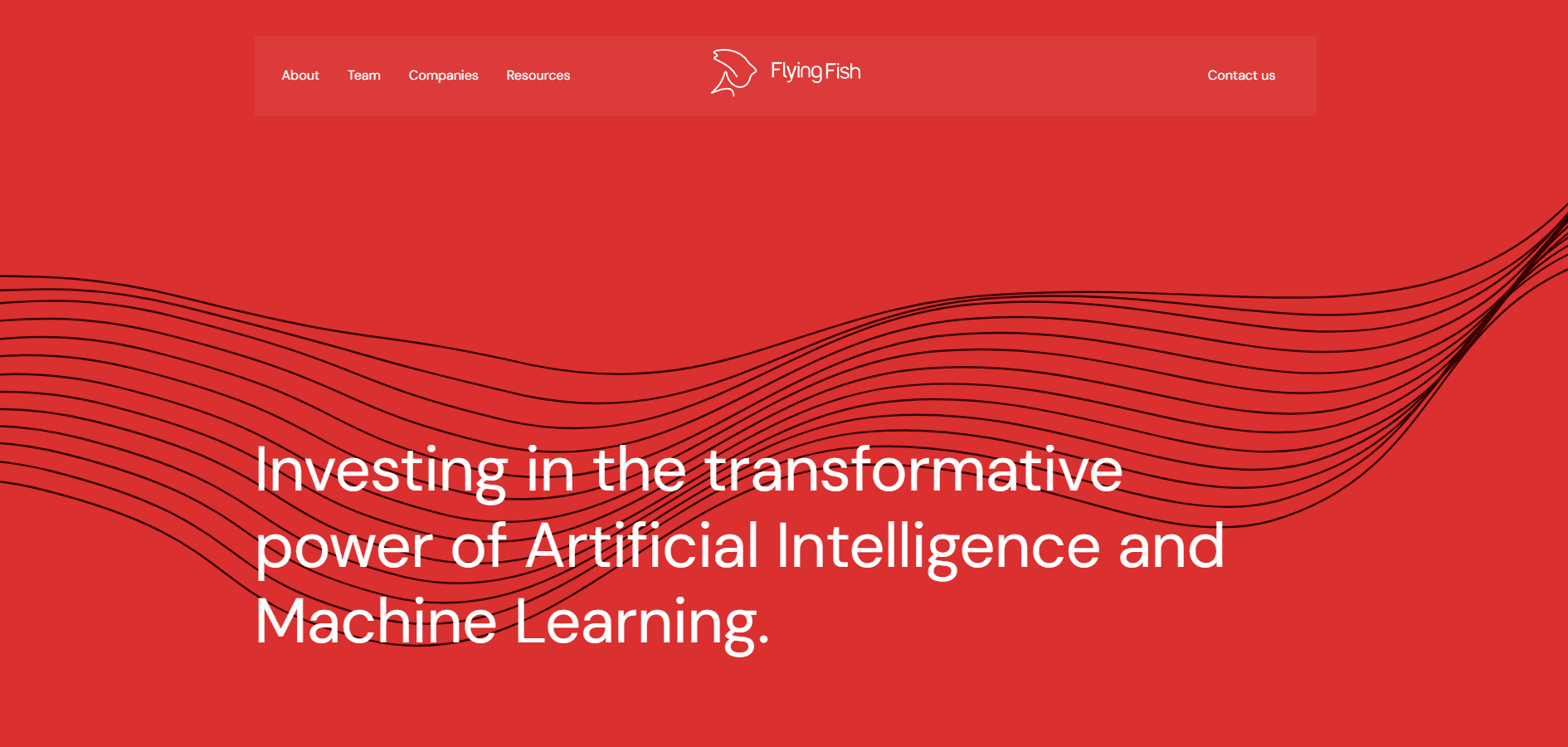 Flying Fish Partners landing page featuring the Flying Fish logo and a headline about investing in artificial intelligence and machine learning.