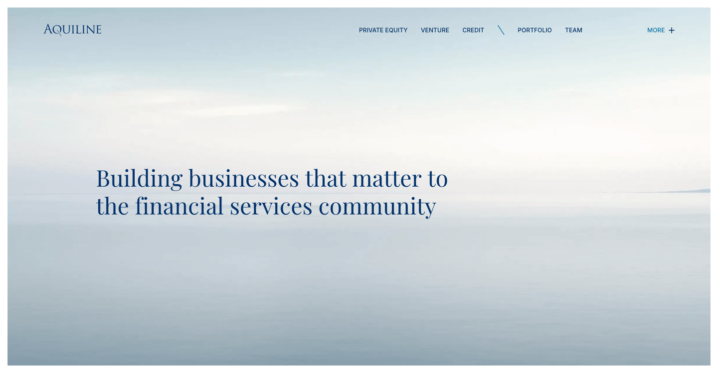 Image of Aquiline Capital Partners - Top VCs in Series C