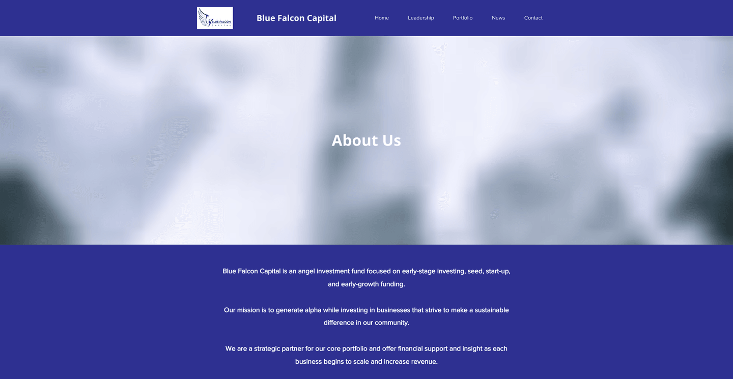 Image of Blue Falcon Capital - Top VCs in Medical