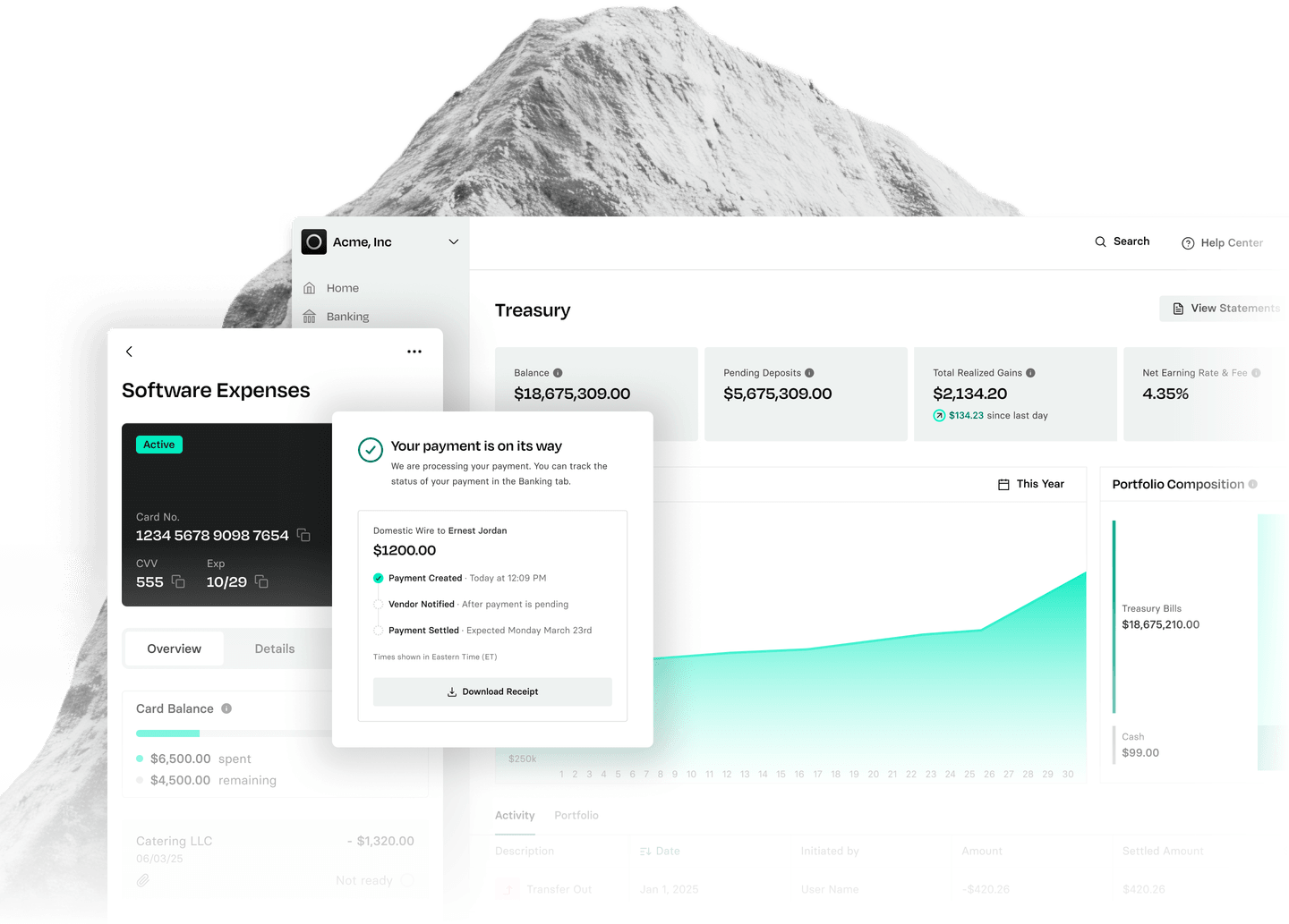 Dashboard interface showing financial data, including software expenses, treasury details, payment confirmation, and a graph of earnings over time.