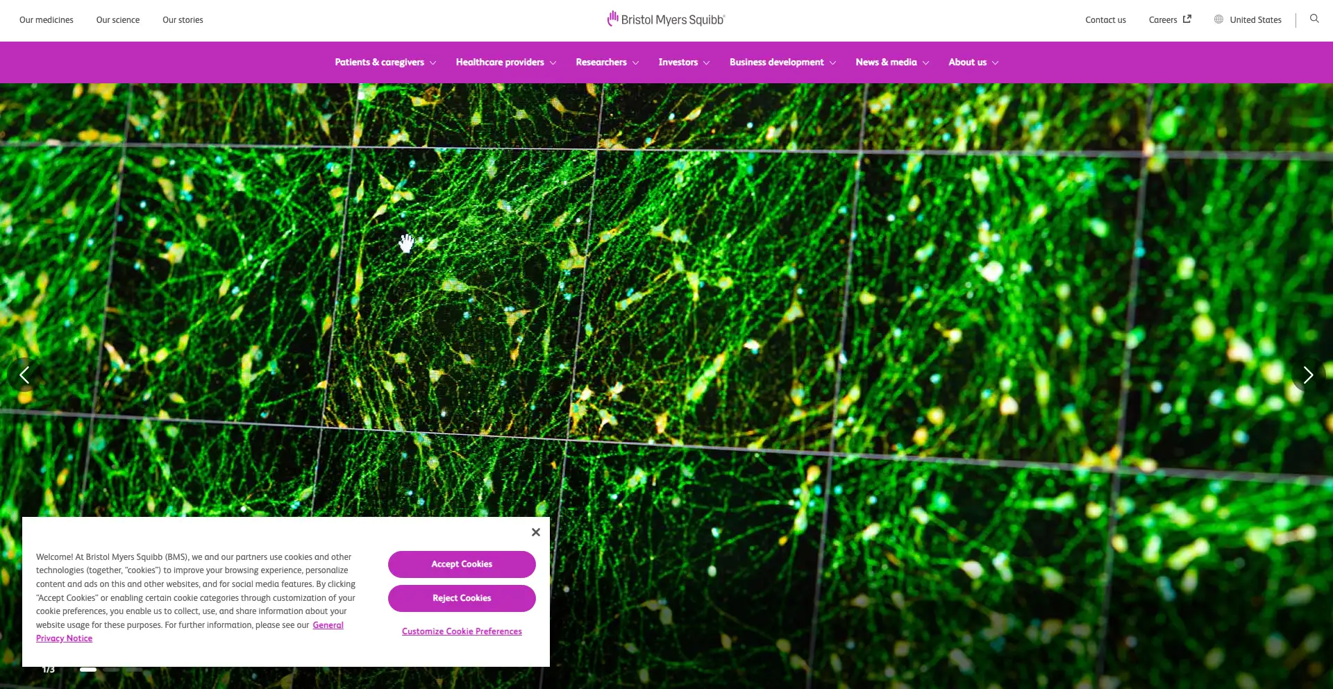 Image of Bristol-Myers Squibb - Top VCs in Medical