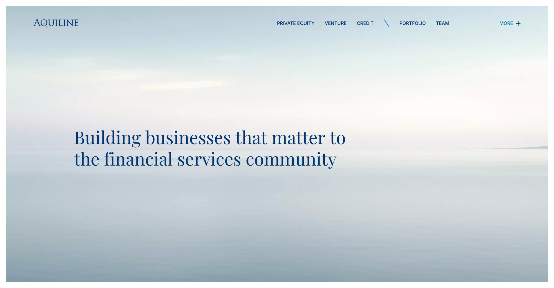 Image of Aquiline Capital Partners - Top VCs in Series C